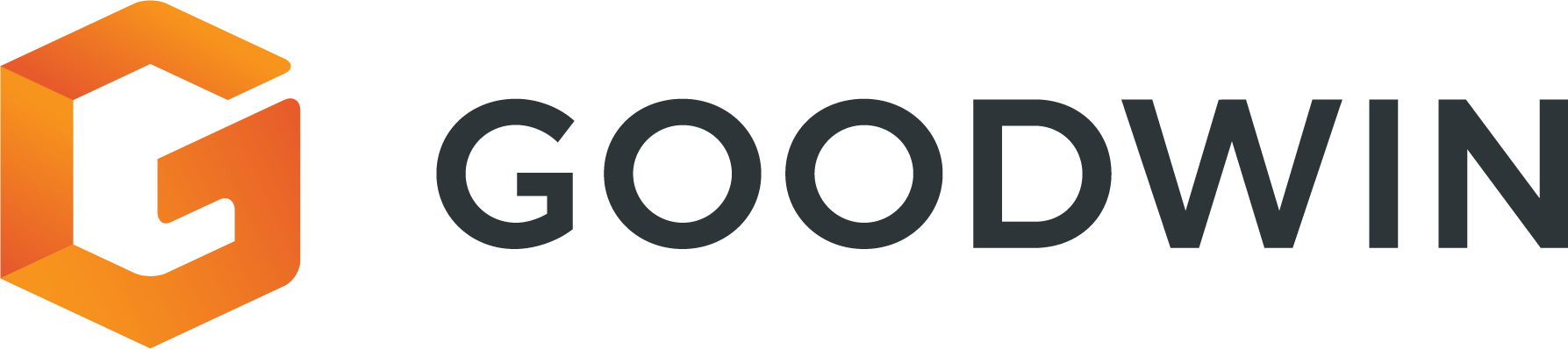 Goodwin Analytics Portal logo